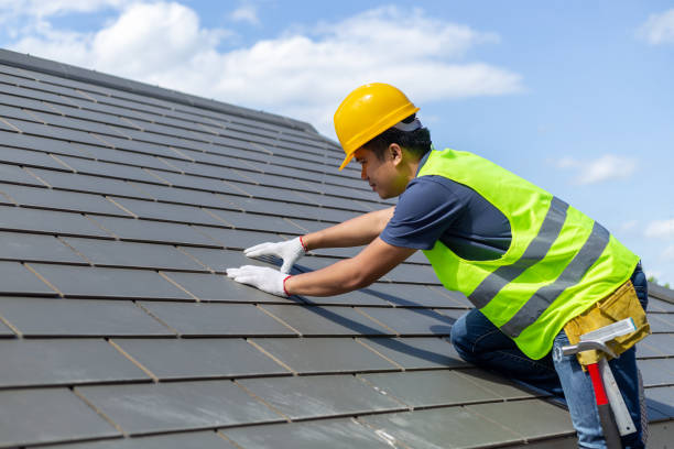 Best Local Roofing Companies  in Montague, MI